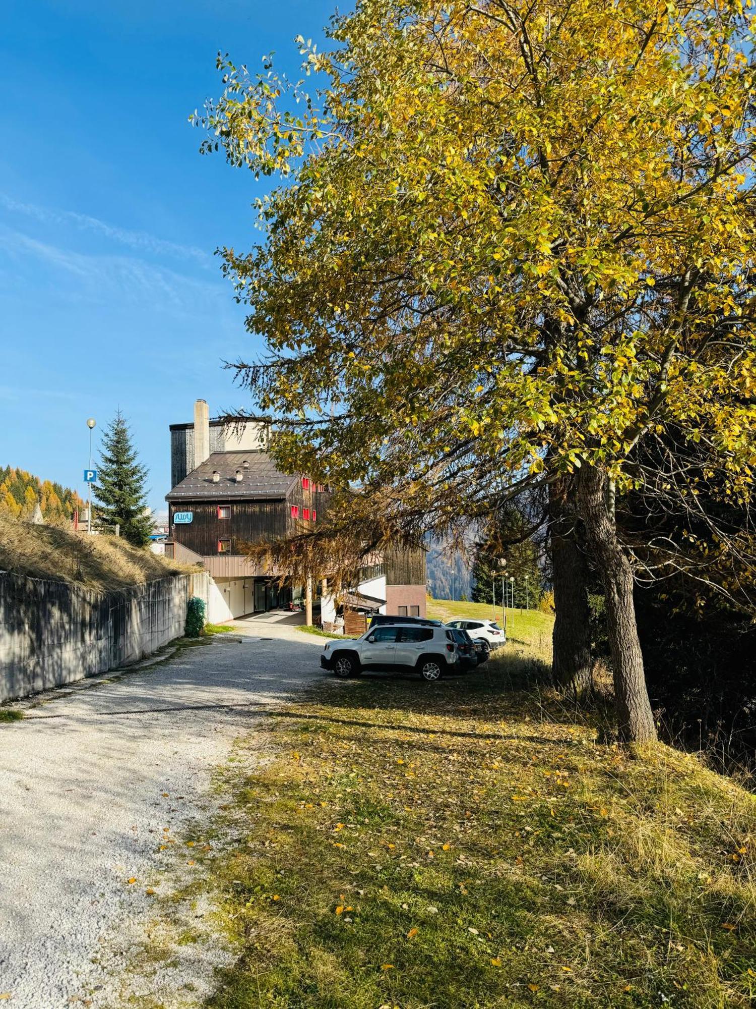 Il Cirmolo Delle Saline Apartman Falcade Kültér fotó